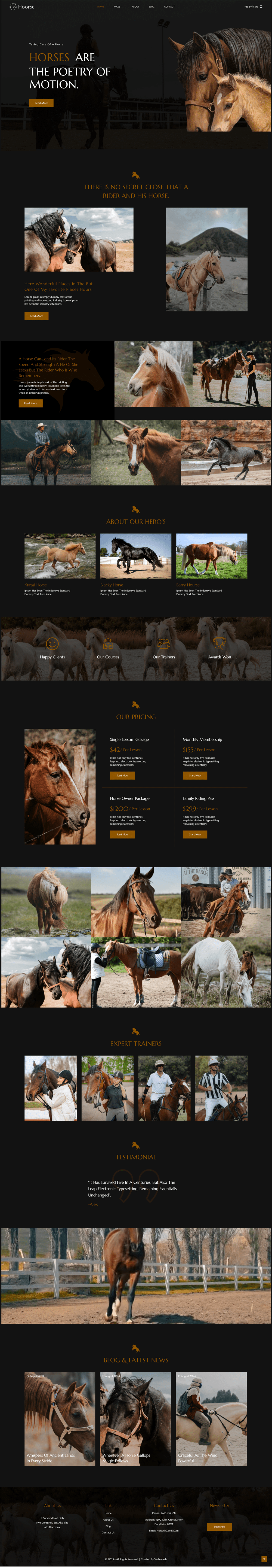 图片[1]-Hoorse-骑马学校，赛马和马术中心WordPress Elementor主题WordPress主题 - LuLunet-LuLunet