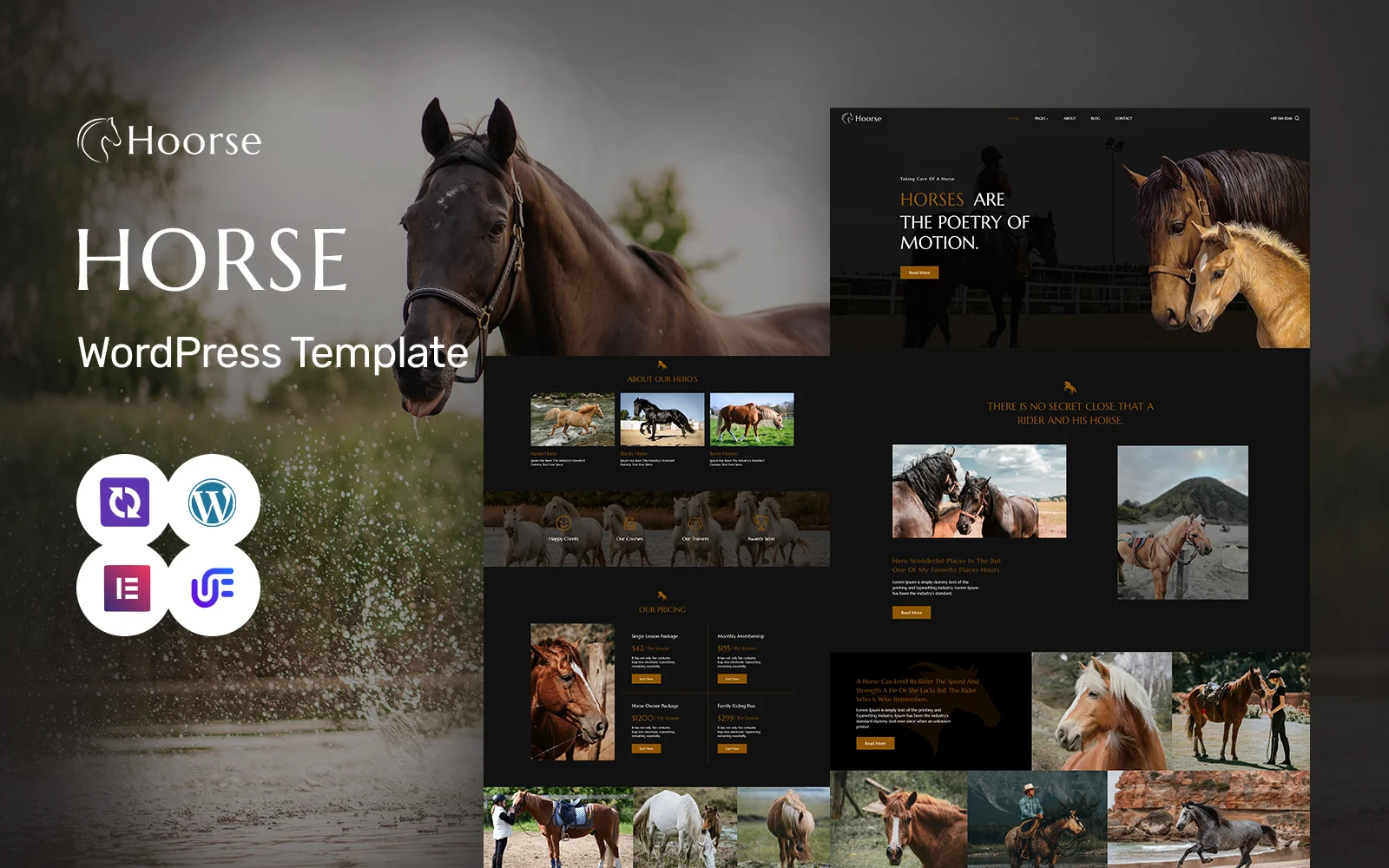 Hoorse-骑马学校，赛马和马术中心WordPress Elementor主题WordPress主题 - LuLunet-LuLunet