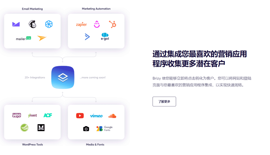 图片[8]-Brizy Pro v2.4.36 Wordpress可视化构建器插件 - LuLunet-LuLunet