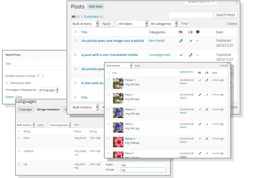 图片[2]-Polylang Pro v3.5.4 Wordpress多语言翻译插件 - LuLunet-LuLunet