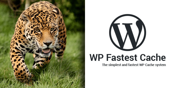 WP Fastest Cache Premium v1.7.0 WordPress静态化缓存插件 - LuLunet-LuLunet