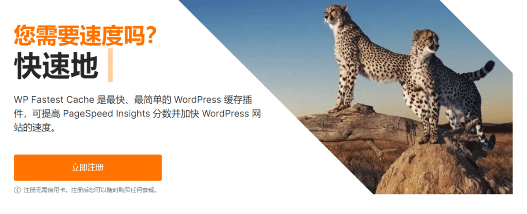 图片[2]-WP Fastest Cache Premium v1.7.0 WordPress静态化缓存插件 - LuLunet-LuLunet