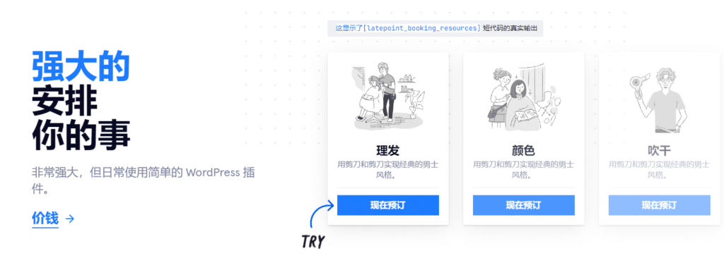 图片[3]-LatePoint v4.9.92 Wordpress预约管理解决方案插件 客户预约方案 - LuLunet-LuLunet