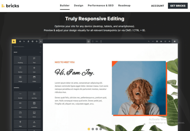 Bricks Builder v1.9.7.1  Wordpress页面构建器-LuLunet