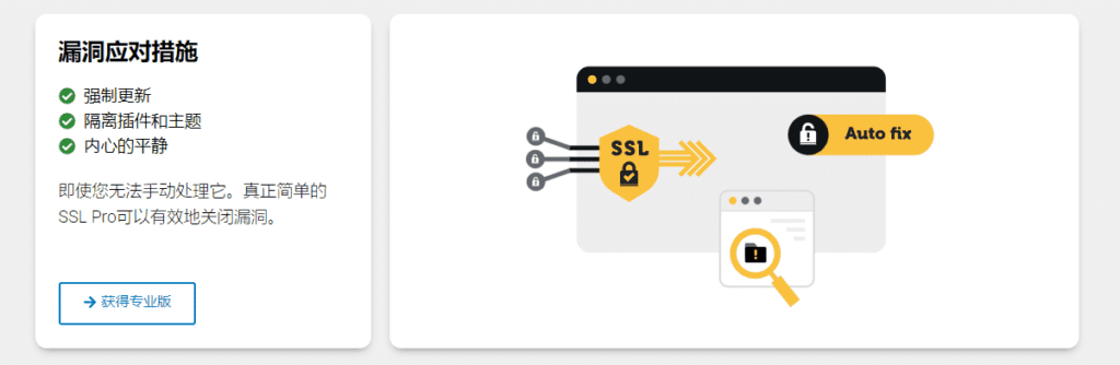 图片[3]-Really Simple SSL Pro v8.0.0 Wordpress自动配置HTTPS插件 - LuLunet-LuLunet