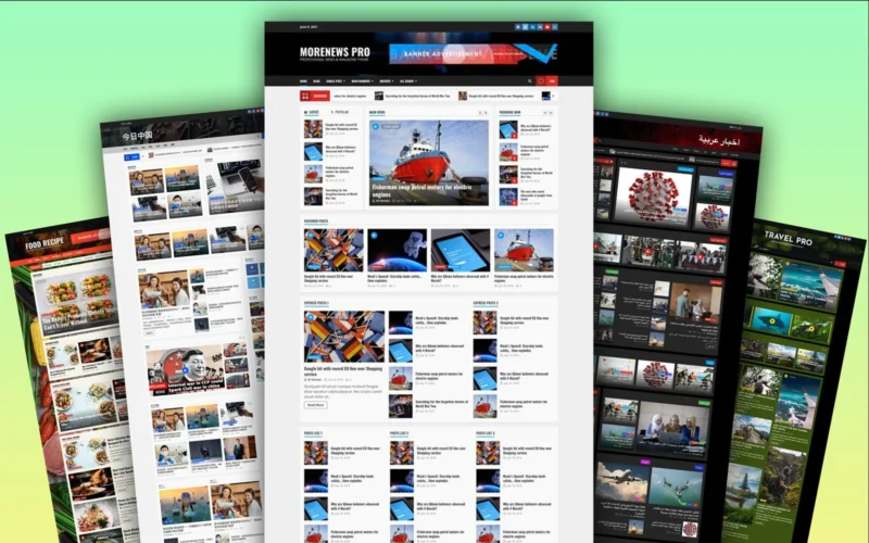 MoreNews Pro - 适合新闻、博客和杂志网站的顶级WordPress主题MoreNews Pro-LuLunet